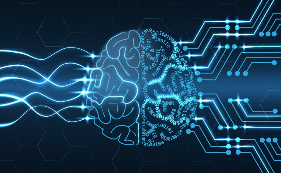 brain network